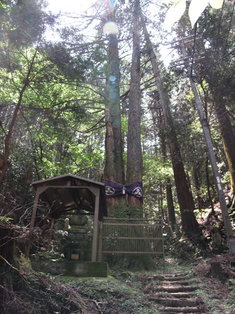 20140524hike (123)